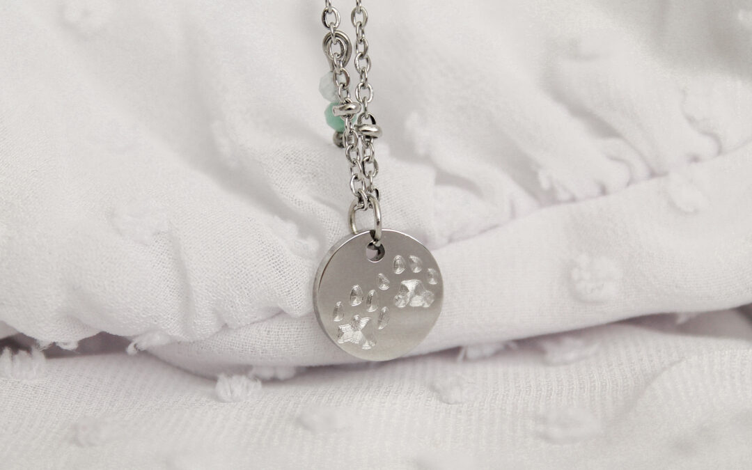 Hoe maak je een goede pootafdruk?