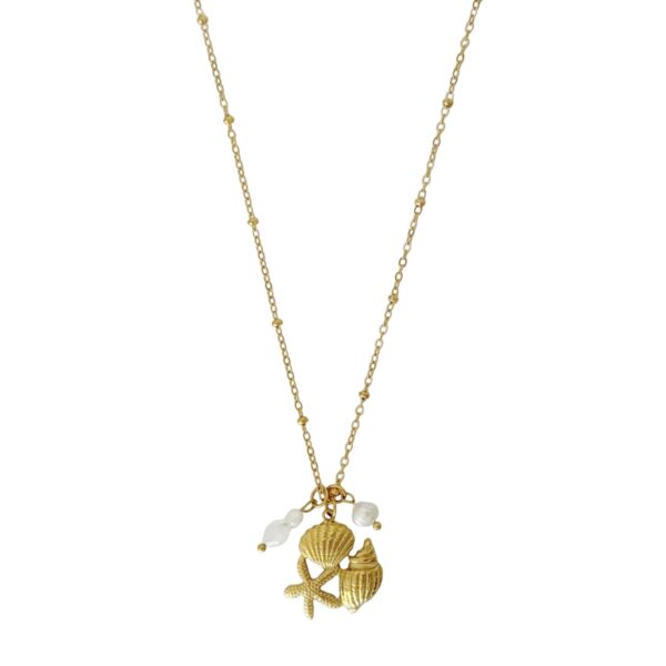schelp hanger ketting parel