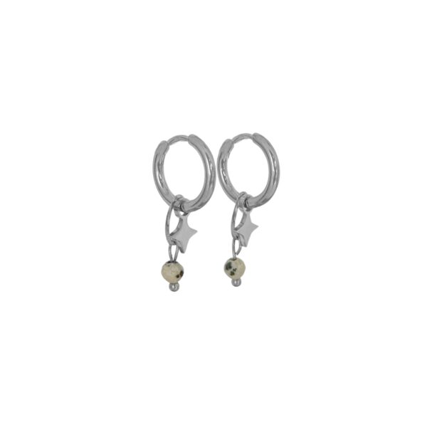 jaspis ster oorringen zilver